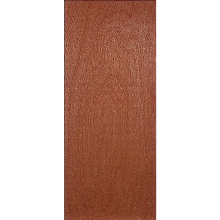 External Plywood Door