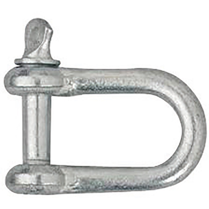 Dee Shackle