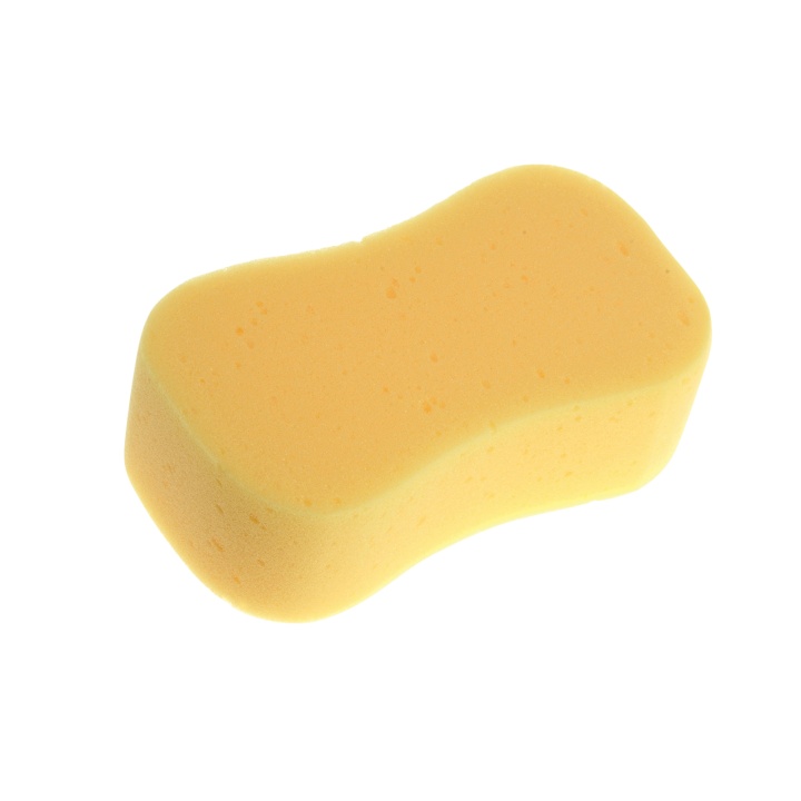 Jumbo Sponge