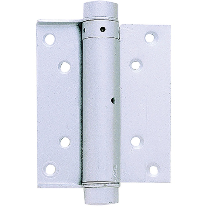 Double Action Spring Hinges Silver 100mm Pack 2