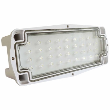 Eterna LED Brick Light With Stainless Steel Frame IP65