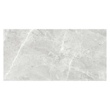 Regency Matt Grey Porcelain Floor & Wall Tile 300 x 600mm