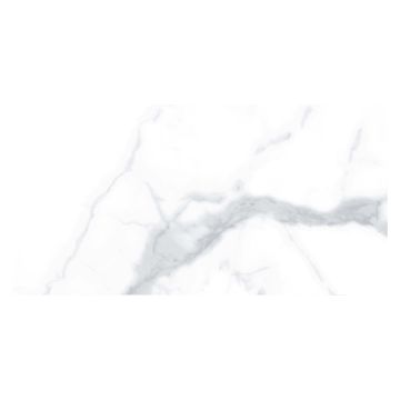 Carrara Gloss White Ceramic Wall Tile 250 x 500mm