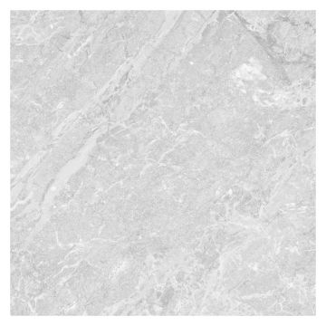 Majestic Gloss Grey Porcelain Floor & Wall Tile 600 x 600mm