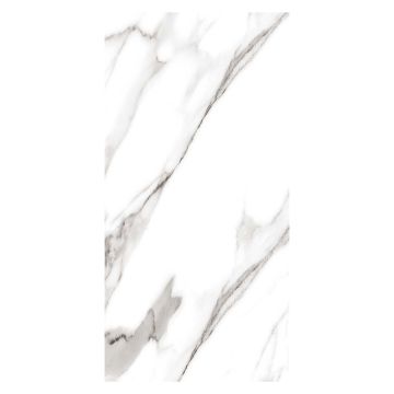 Straturio Marble Polished Porcelain Floor & Wall Tile 300 x 600mm