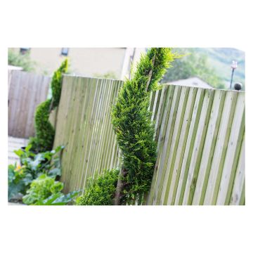 Treated Green Feather Edge Fence Board 125 x 22mm x 1800mm FSC®