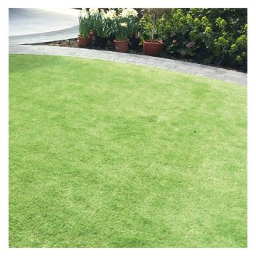 Luxigraze 30 Premium Artificial Grass Midi Roll 2m x 6m Covers 12m²