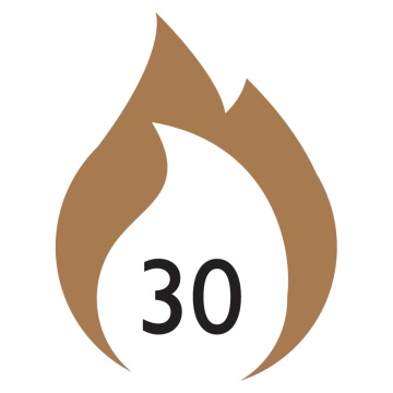 Eclipse Grade 7  Fire Door Washered Hinge 102mm Satin Stainless Steel Pack 3